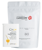 sulforaphane, nitric_oxide, nrf2