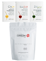 sydänterveys, aivoterveys, vatsanterveys, mikrobiomi, verenpaine, typpioksidi, nrf2, sulforafaani